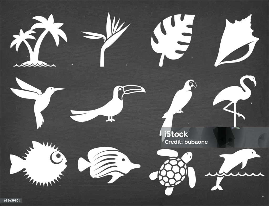 Tropical plants fish and birds on Black Chalkboard Vector Icons Tropical plants fish and birds on Black Chalkboard Vector Icons. This royalty free vector illustration features a set of  vector summer icons in white color on a dark chalkboard. Each 100% vector design element can be used independently or as part of this royalty free graphic set. The blackboard has a slight texture. Icon Symbol stock vector