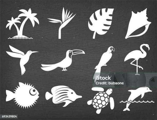 Tropical Plants Fish And Birds On Black Chalkboard Vector Icons Stock Illustration - Download Image Now