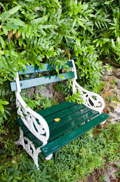 istock Garden bench in Bermuda with tropical ferns 693449628