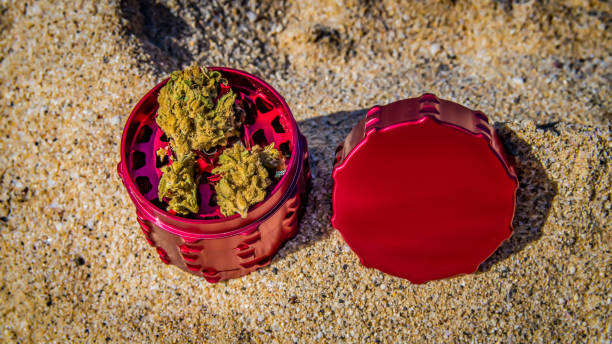 red cannabis grinder close up