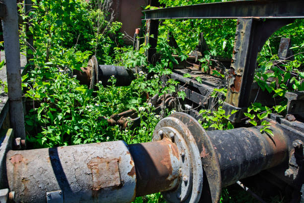 istock Old railway wagons in the grass 693466066