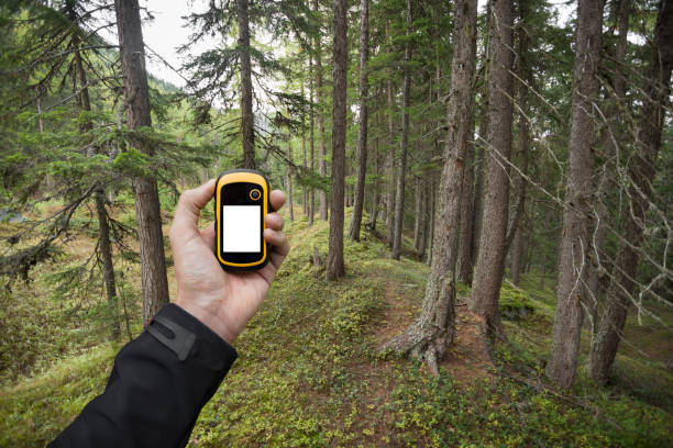 istock finding the right position in the forest via gps 693468596