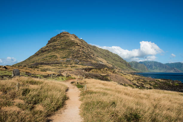 istock Kaena Point Nature Reserve, Oahu, Hawaii 693471808