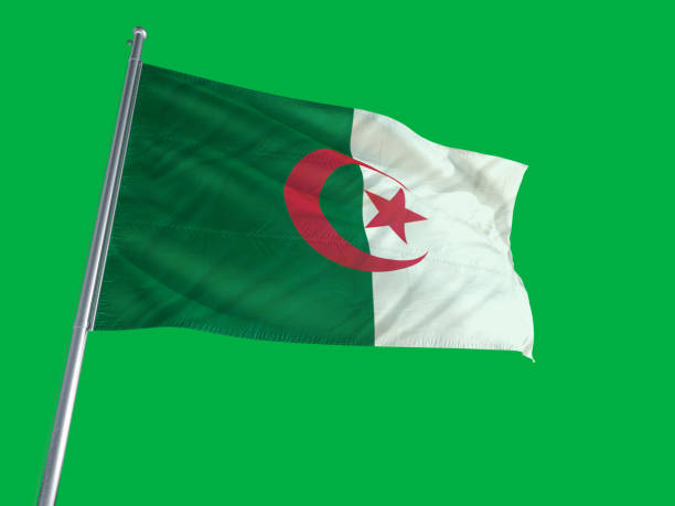 istock Algeria Flag on Green-Screen 693474630