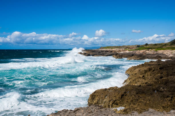 istock Rugged North Shore coastline, Oahu, Hawaii 693474956
