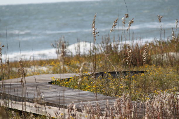 Kiawah Island, South Carolina Kiawah Island, South Carolina boardwalk to the beach and ocean. kiawah island stock pictures, royalty-free photos & images