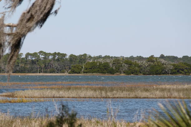 istock Kiawah Island, South Carolina 693477774