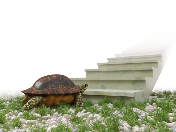 istock moving turtle wants to climb on the stairs concept background 693487008