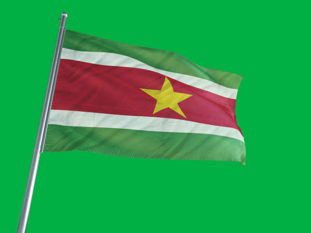 istock Suriname Flag on a Green Screen 693501826