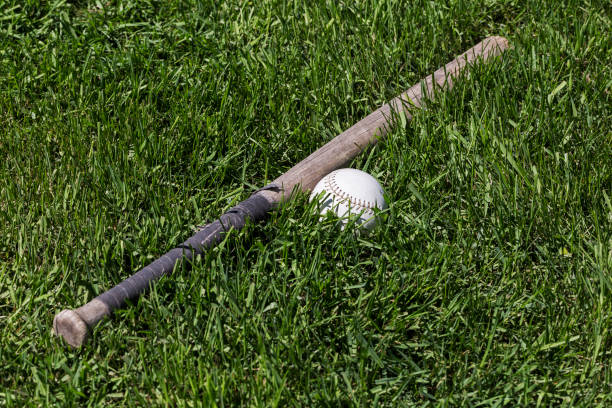 istock Softball and Bat in Green Grass 693501834