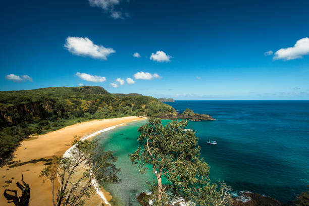istock Fernando De Noronha - Brazil 693510396