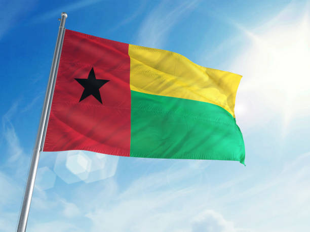 istock Guinea Bissau Flag on a Cloud Background 693510950
