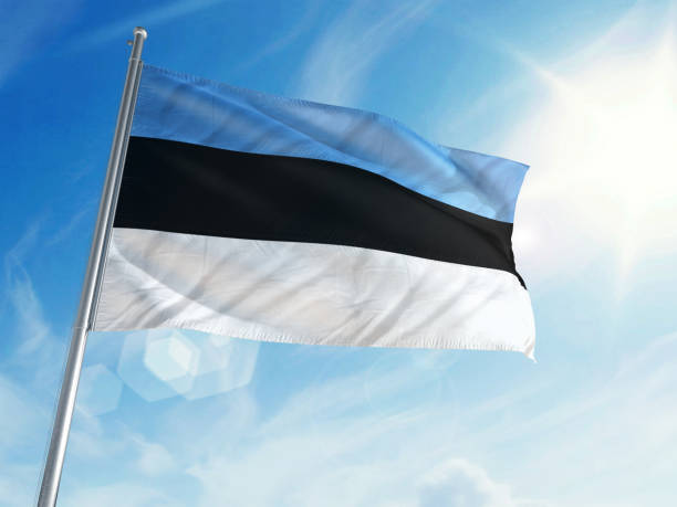 에스토니아 깃발 구름 배경 - estonia flag pennant baltic countries 뉴스 사진 이미지