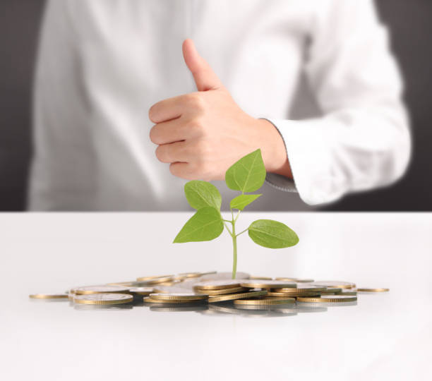 istock money plant growing from coins in hand 693519150