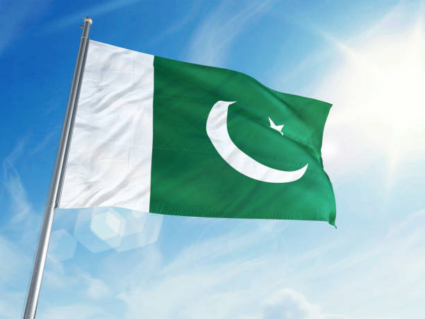 istock Pakistan Flag on a Cloud Background 693519796