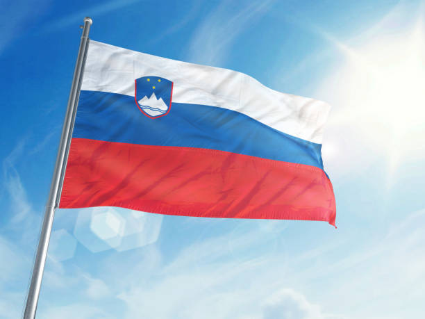istock Slovenia Flag on a Cloud Background 693522520