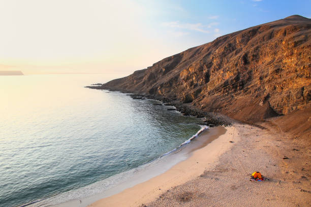 La Mina Beach in Paracas National Reserve, Peru.