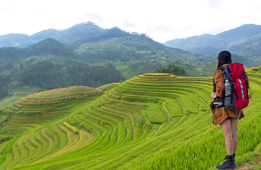 Hiker women in the mountains with backpack near rice terraces in Vietnam