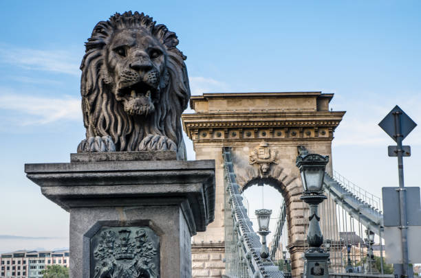 крупным планом на статуе льва цепного моста будапешт - chain bridge budapest bridge lion стоковые фото и изображения