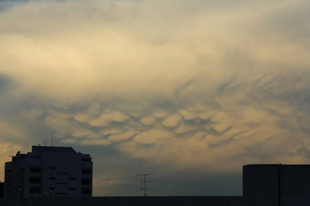 nuages mammatous belles - lactiferous duct photos et images de collection