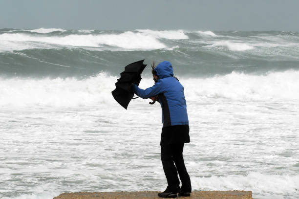 grand vent et pluie sur la plage - beach nature outdoors overcast photos et images de collection