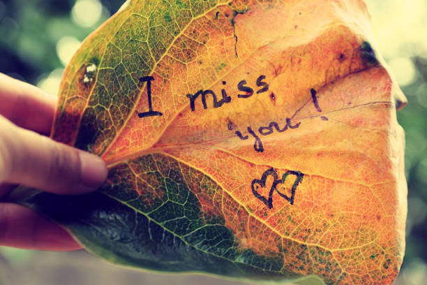 istock i miss you on old leaf 693528850