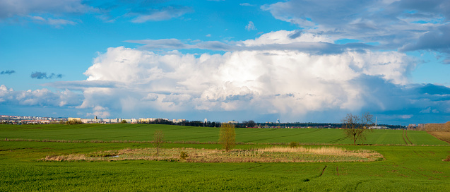 Panorama of spring, green field