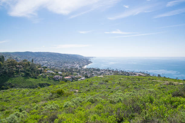 istock Beautiful Lush Laguna Beach, California 693544266