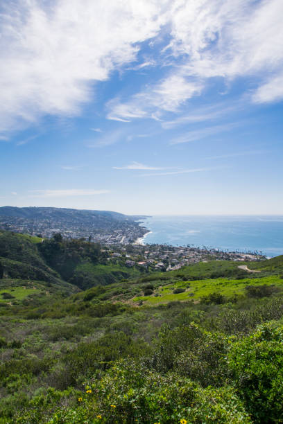 istock Beautiful Lush Laguna Beach, California 693544316