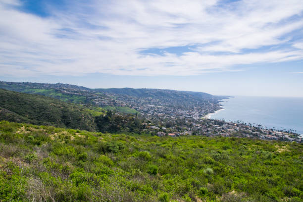 istock Beautiful Lush Laguna Beach, California 693547142