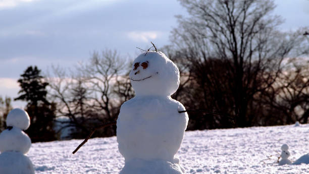 istock Smiling Snowman Waving Branch Arm 693553366