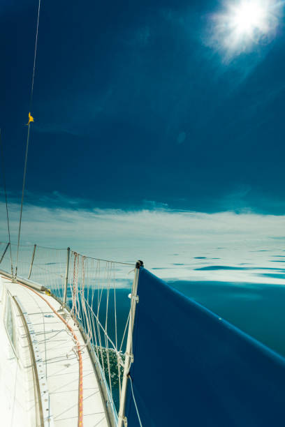 istock Yachting on sail boat during sunny weather 693557762