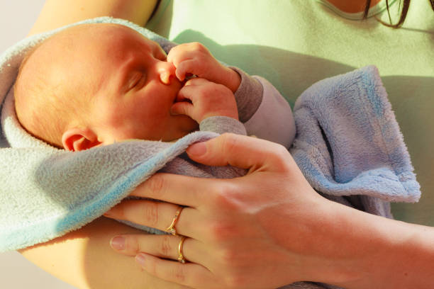 istock Little newborn baby sleeping calmly in blanket 693561728