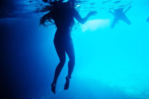 istock silhouette of people swim underwater 693567528