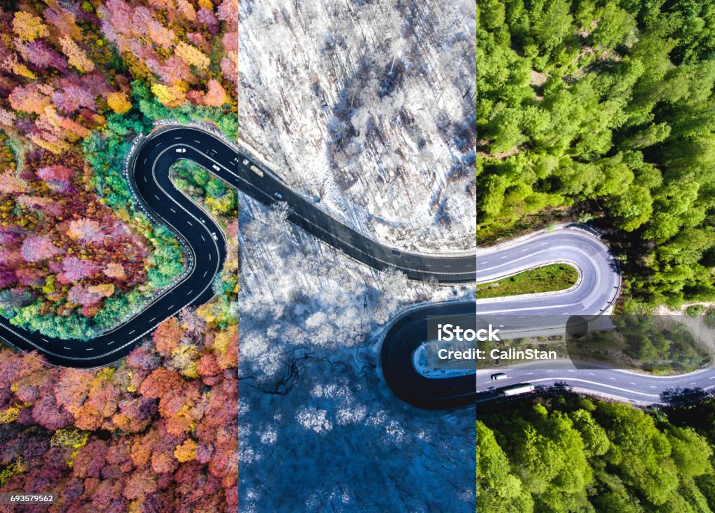 Strada tortuosa nella foresta. Colage autunnale, estivo e invernale. Vista aerea dall'alto verso il basso da un drone. - Foto stock royalty-free di Strada