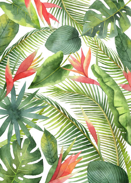 ilustraciones, imágenes clip art, dibujos animados e iconos de stock de tarjeta acuarela con flores tropicales y hojas aisladas sobre fondo blanco. - miami beach