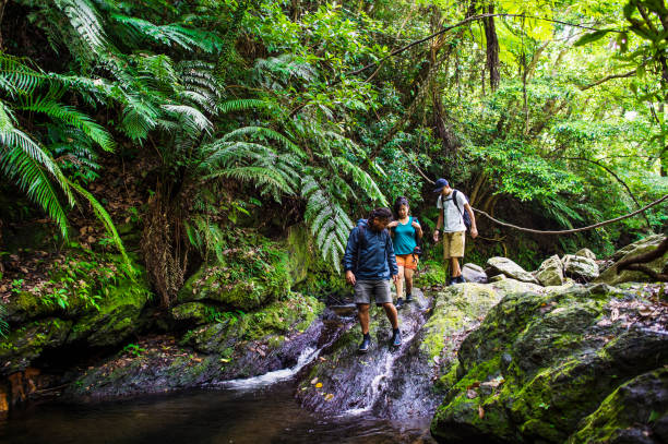 istock Three asian people exploring the riverside in okinawa,Japan 693583326