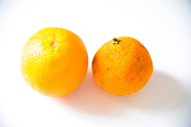 Rotten and fresh orange isolated on white background.