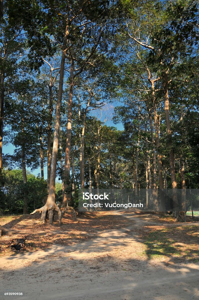 Ba Om 湖チャーヴィン省ベトナムで有名な観光 アジア大陸のストックフォトや画像を多数ご用意 アジア大陸, インドシナ半島