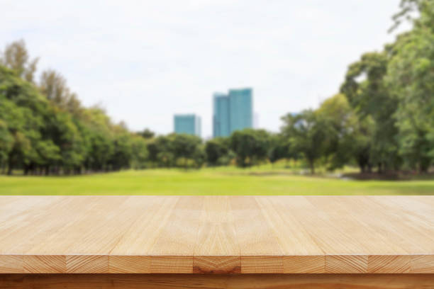 istock Wood table top on blur green garden. 693605032