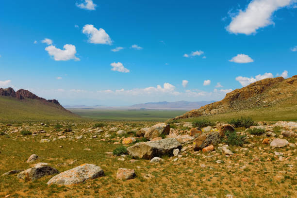 góry ałtaju. piękny krajobraz górzyszy. mongolia - flon zdjęcia i obrazy z banku zdjęć