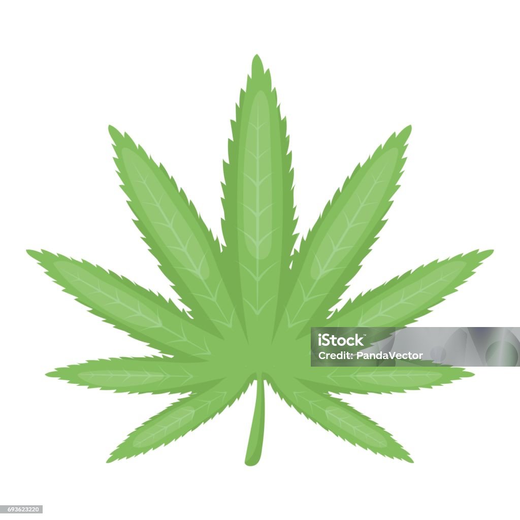 Ilustración de Icono De Hoja De Marihuana En Estilo De Dibujos Animados  Aislado Sobre Fondo Blanco Drogas El Símbolo Ilustración Vectorial De Stock  y más Vectores Libres de Derechos de Adicción -