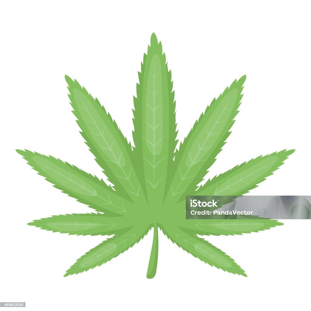 Ilustración de Icono De Hoja De Marihuana En Estilo De Dibujos Animados Aislado Sobre Fondo Blanco Drogas El Símbolo Ilustración Vectorial De Stock y más Vectores Libres de Derechos de Adicción - Ilustración de Icono De Hoja De Marihuana En Estilo De Dibujos Animados Aislado Sobre Fondo Blanco Drogas El Símbolo Ilustración Vectorial De Stock y más Vectores Libres de Derechos de Adicción -