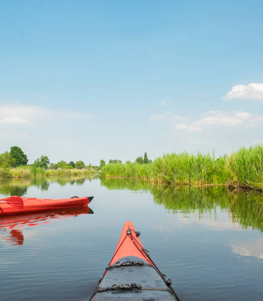 istock Kayaking in a nature reserve during a beautiful sprintime day 693627618