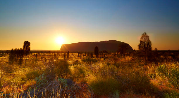 улуру на рассвете - uluru australia northern territory sunrise стоковые фото и изображения