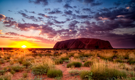 The Northern Territory Australia - May 18, 2011: The sun rises beyonds the magnificent sandstone monolith that is Uluru, illuminating the grass & scrub in the foreground.