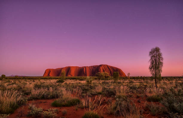 l'approche de l'aube ou uluru - uluru australia northern territory sunrise photos et images de collection