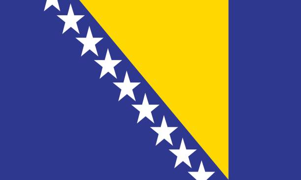 flagge von bosnien und herzegowina - bosnien und herzegowina stock-grafiken, -clipart, -cartoons und -symbole