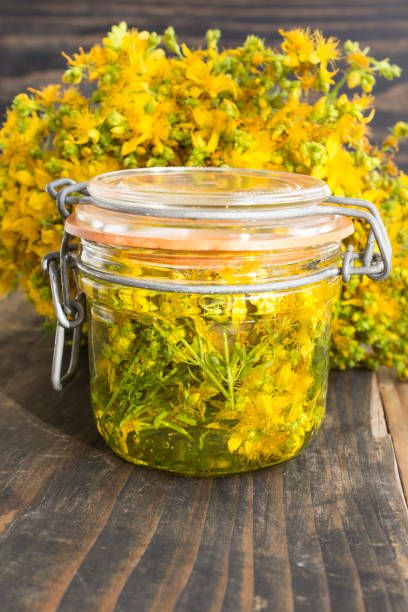 istock St. John's Wort Oil 693635560