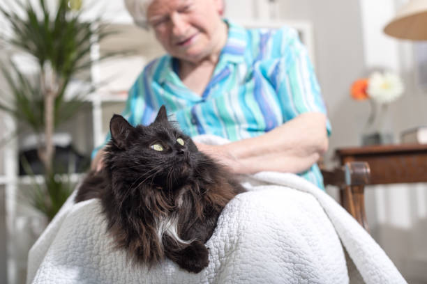 istock Elderly woman with her pet 693635742
